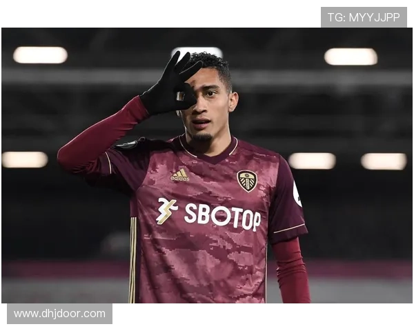 拉菲尼亚：利兹联的表现稳健，未来发展方向值得关注